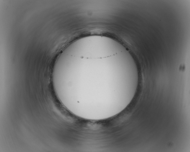 X0000111580311200907161202