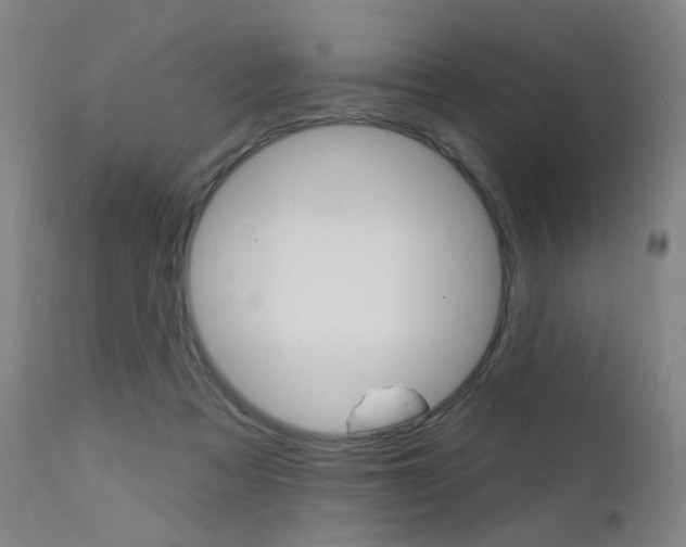 X0000111580313200907161202