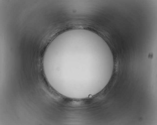 X0000111580314200907161202