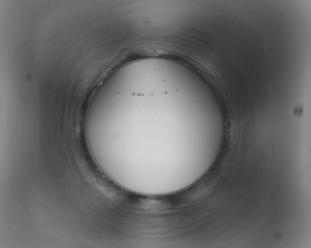 X0000111580315200907161202