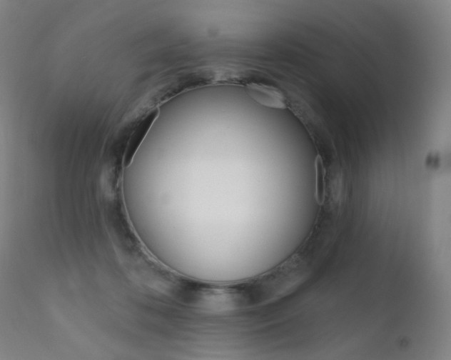 X0000111580316200907161202