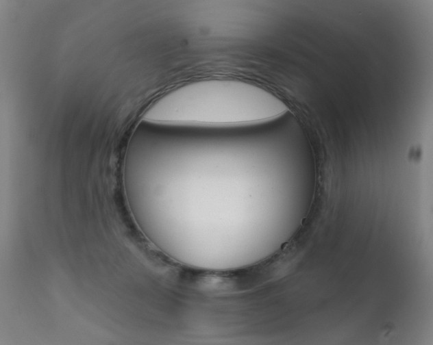 X0000111580319200907161202