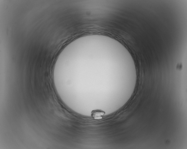 X0000111580320200907161202