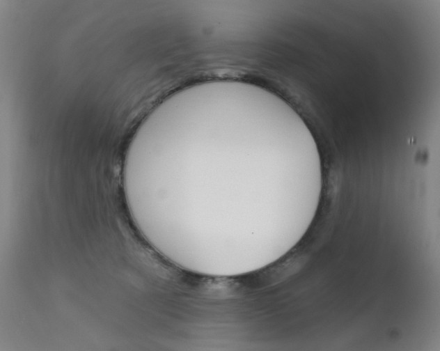 X0000111580321200907161202