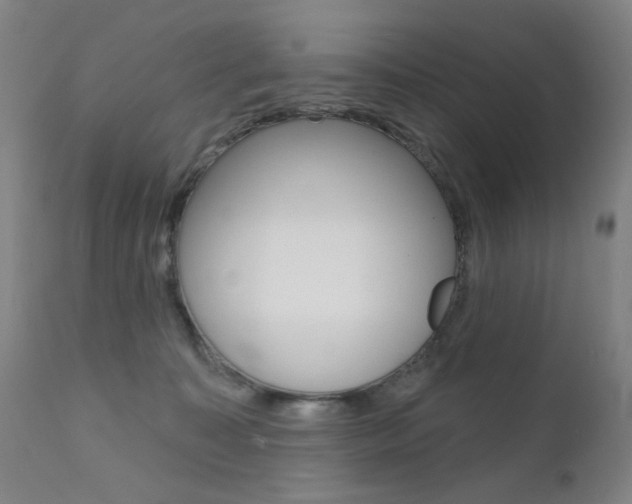 X0000111580323200907161202