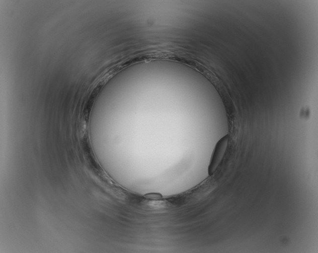 X0000111580324200907161202