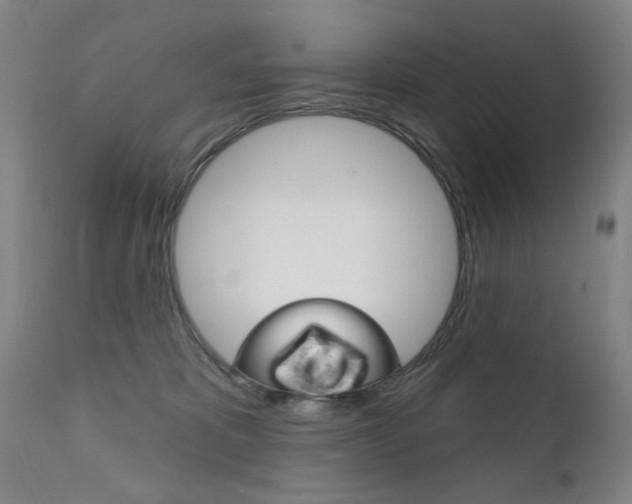 X0000111580325200907161202
