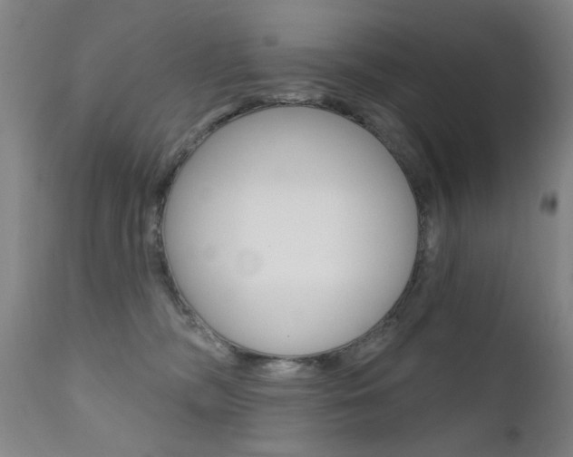 X0000111580326200907161202