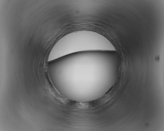X0000111580328200907161202