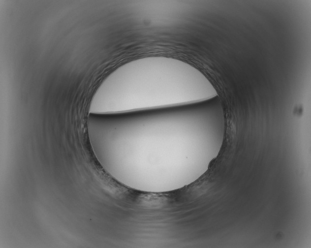 X0000111580331200907161202