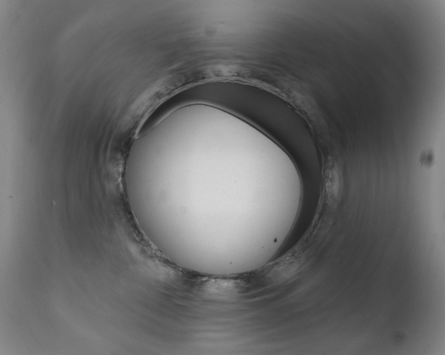 X0000111580332200907161202