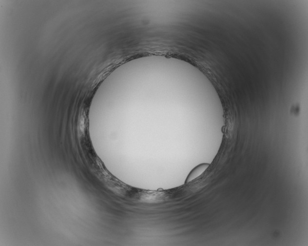 X0000111580334200907161202