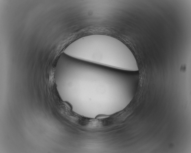 X0000111580335200907161202