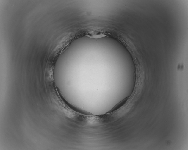 X0000111580336200907161202