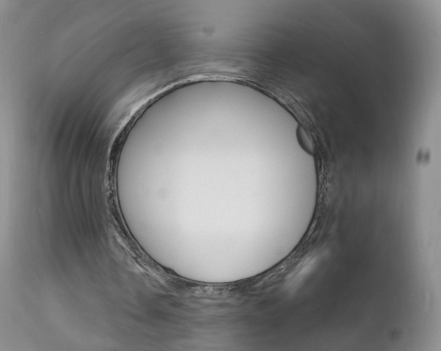 X0000111580338200907161201