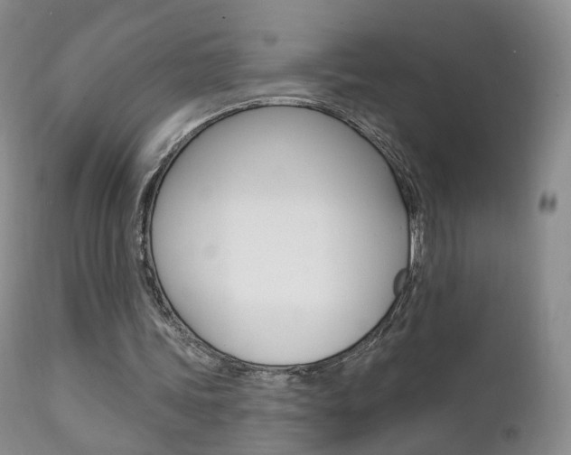 X0000111580339200907161201