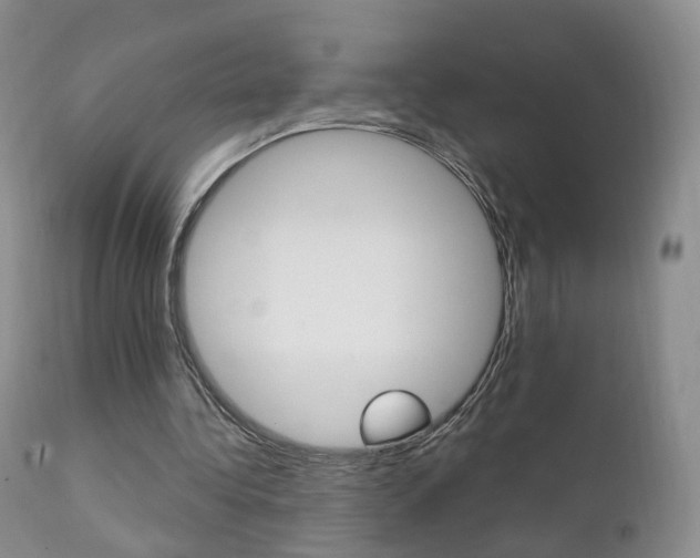 X0000111580340200907161201
