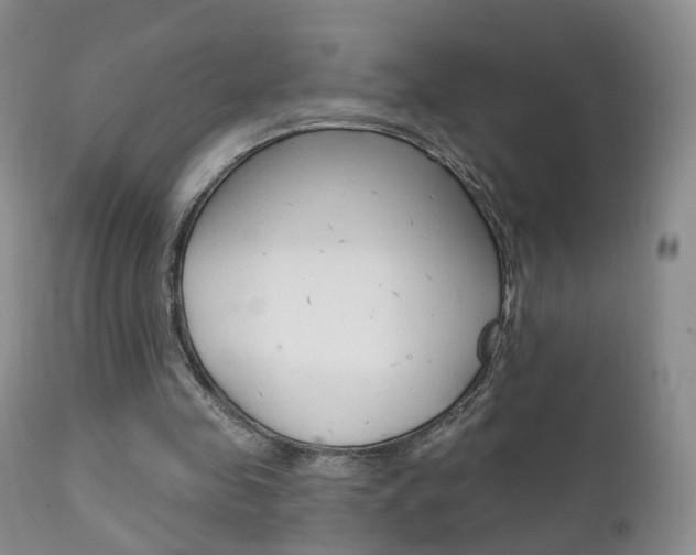 X0000111580341200907161201