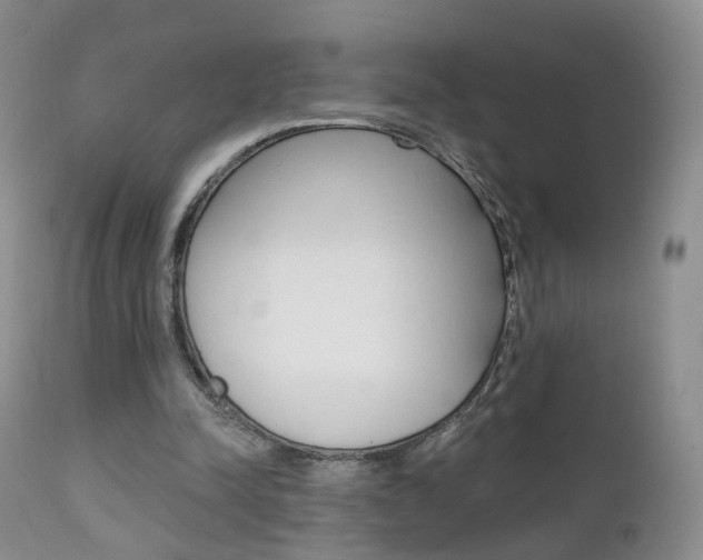 X0000111580342200907161201