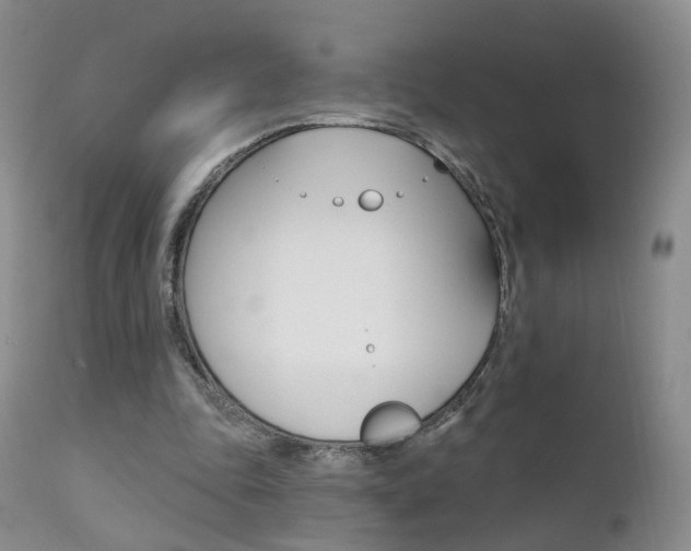 X0000111580343200907161201