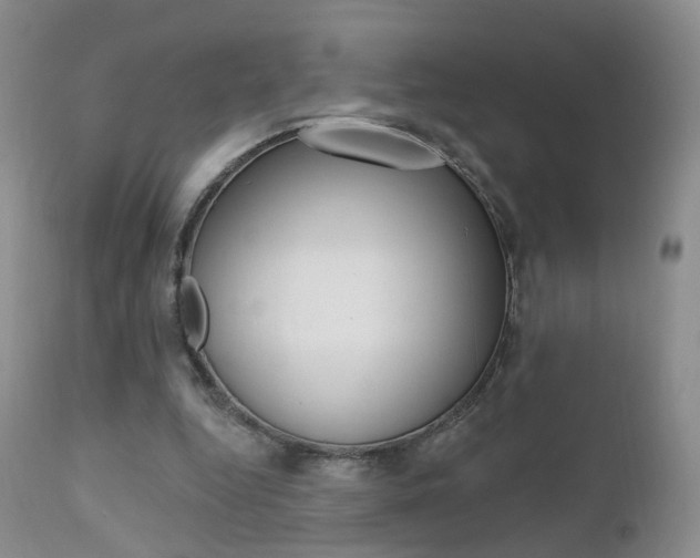 X0000111580344200907161201