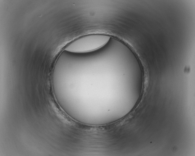 X0000111580345200907161201