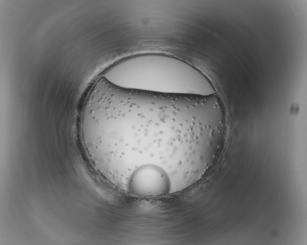 X0000111580346200907161201