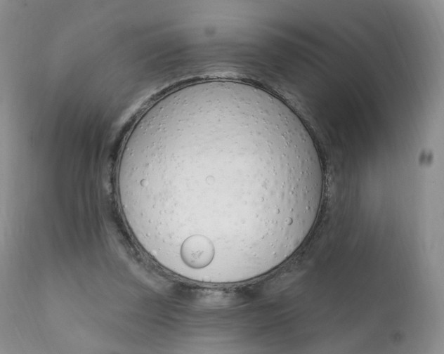 X0000111580347200907161201