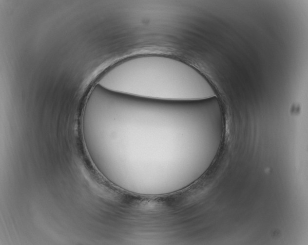 X0000111580348200907161201