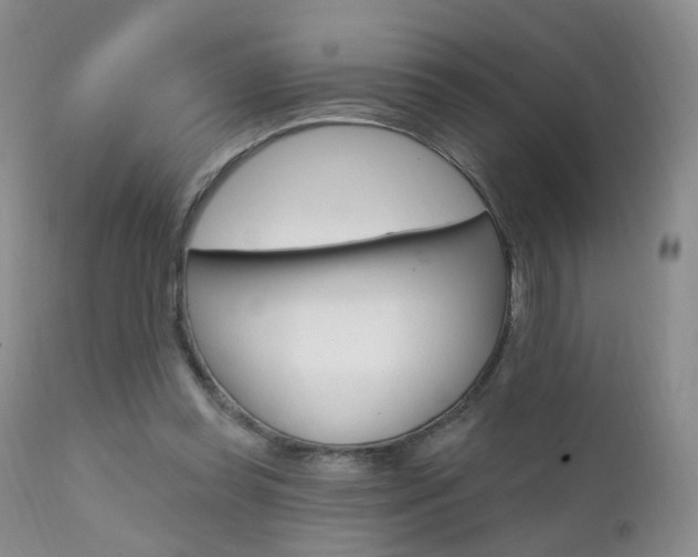 X0000111580349200907161201