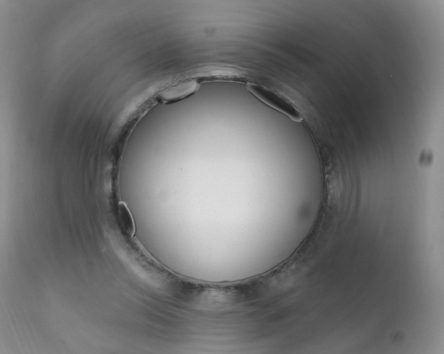 X0000111580350200907161201