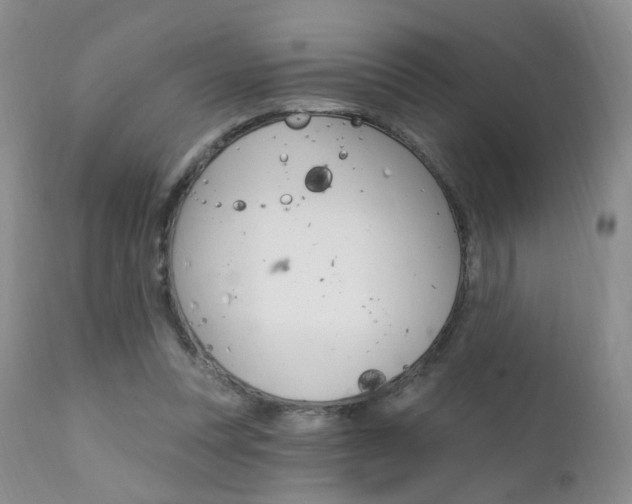 X0000111580351200907161201