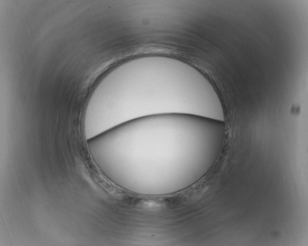 X0000111580352200907161201