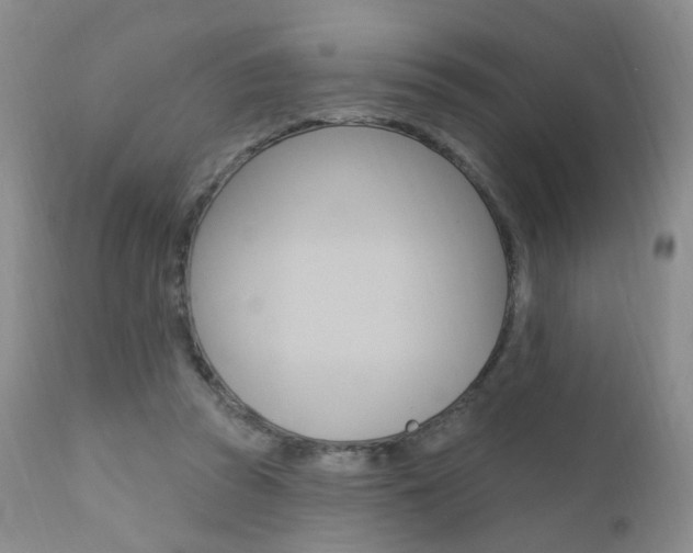 X0000111580353200907161201