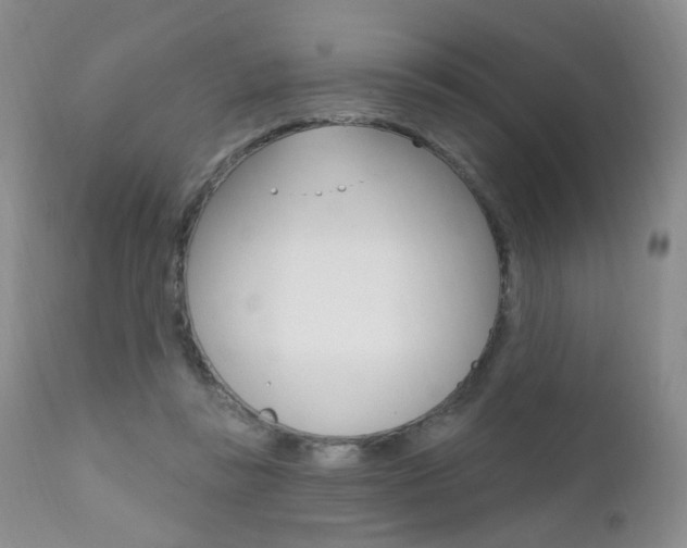X0000111580355200907161201