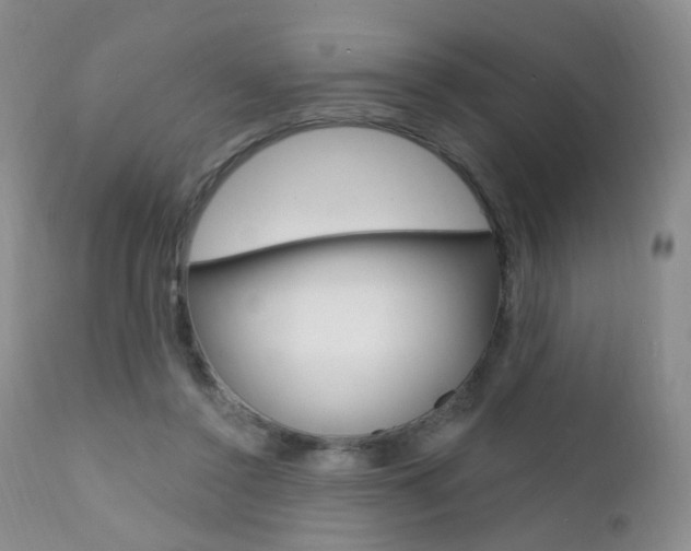 X0000111580356200907161201