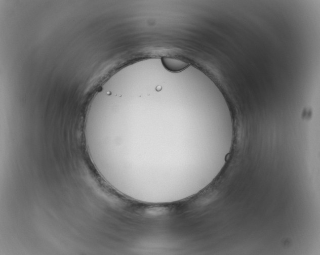 X0000111580357200907161201