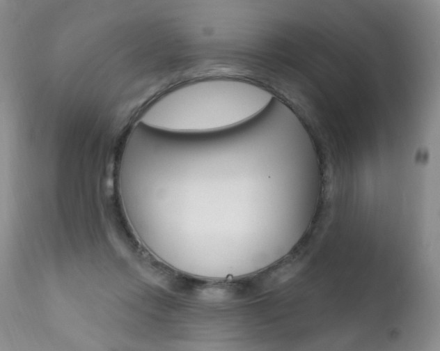 X0000111580358200907161201