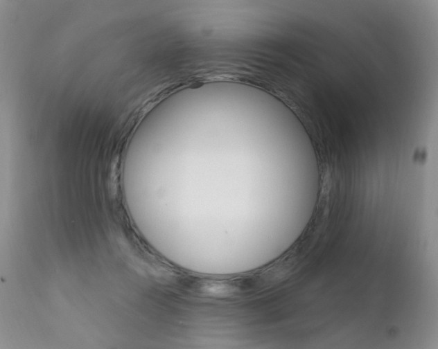 X0000111580360200907161201