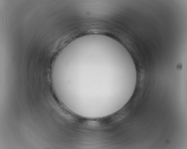 X0000111580361200907161201