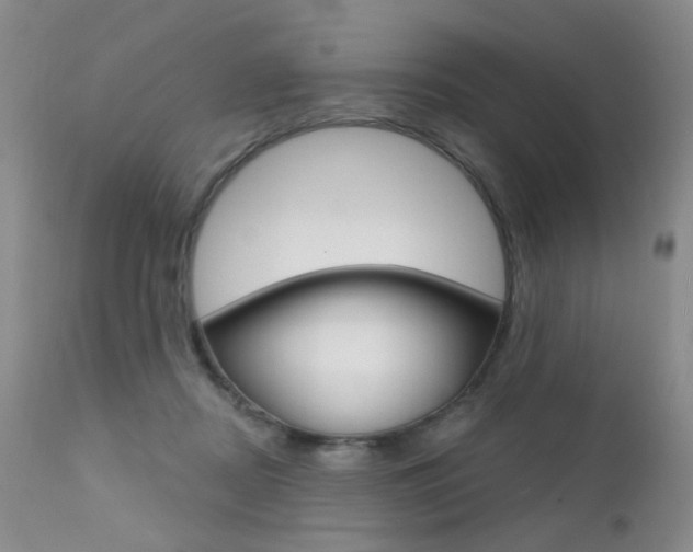 X0000111580362200907161201