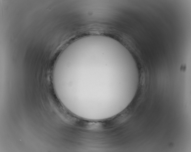 X0000111580363200907161201