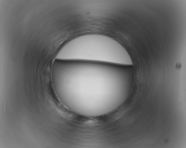 X0000111580364200907161201