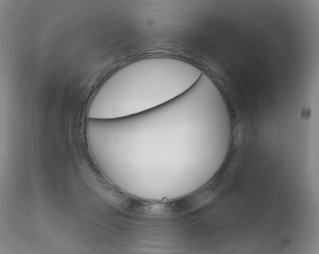 X0000111580365200907161201