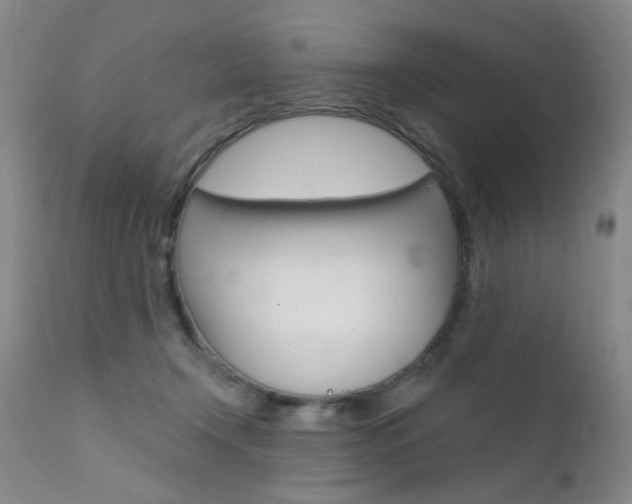 X0000111580366200907161202