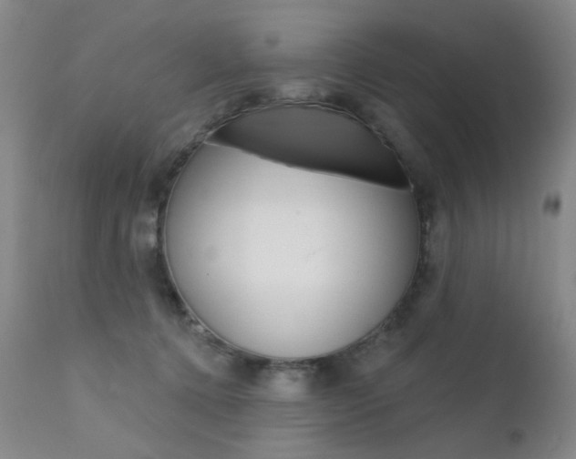 X0000111580368200907161202