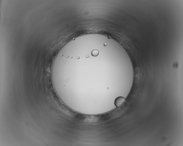 X0000111580369200907161202