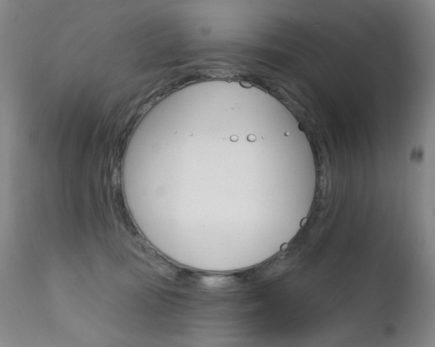 X0000111580371200907161202