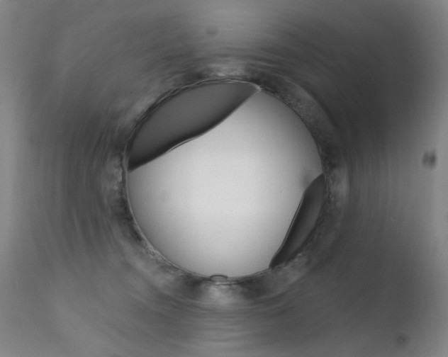 X0000111580372200907161202