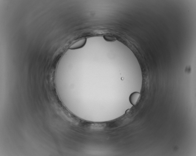 X0000111580373200907161202